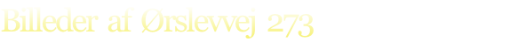 Billeder  af  Ørslevvej  273

