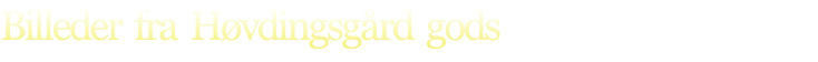 Billeder  fra  Høvdingsgård  gods

