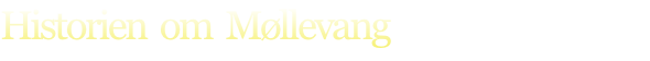 Historien  om  Møllevang
