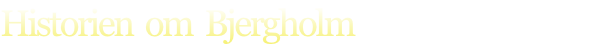 Historien  om  Bjergholm
