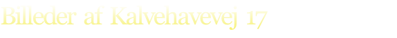 Billeder  af  Kalvehavevej  17

